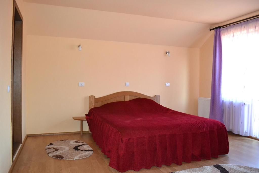 Гостевой дом Vila Sarah Bran Бран