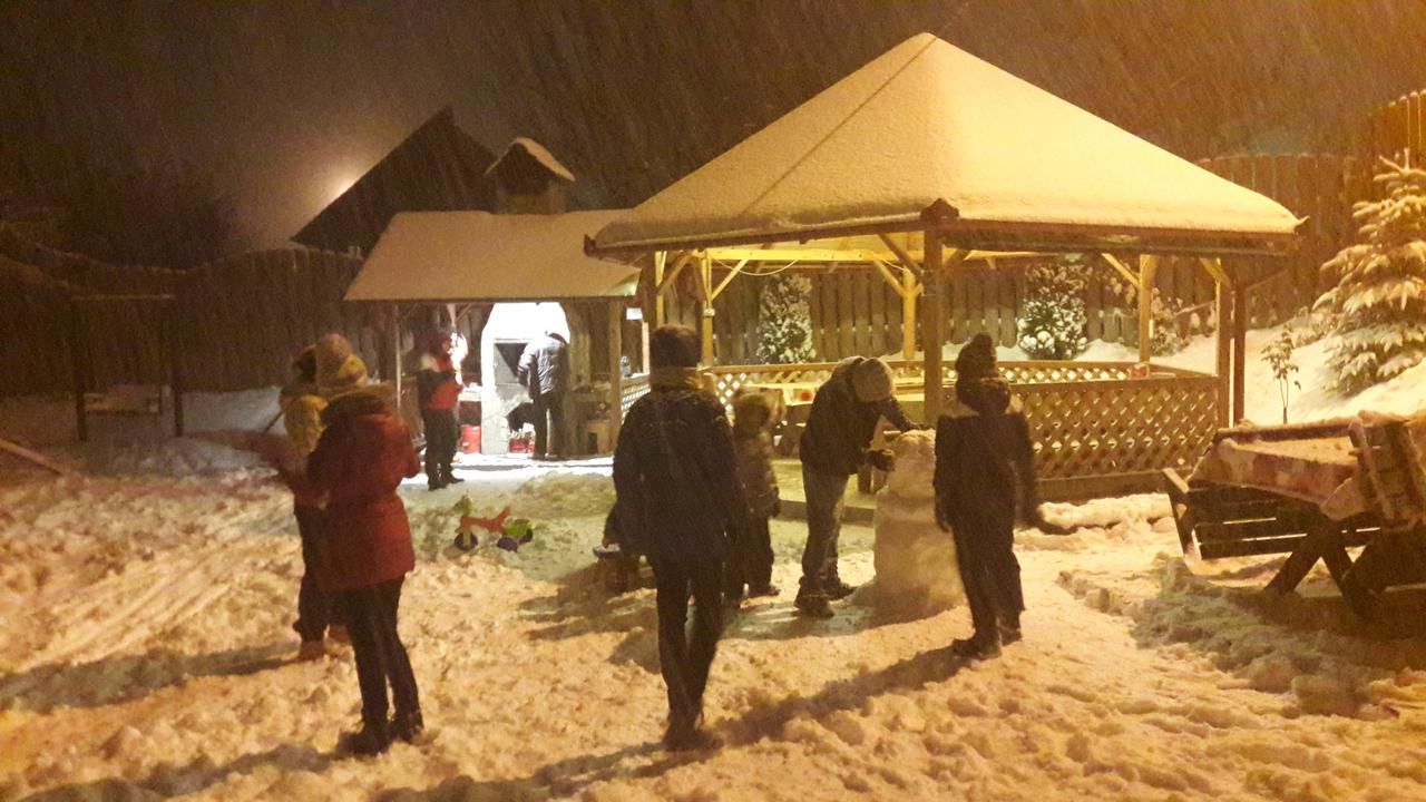 Гостевой дом Vila Sarah Bran Бран-9