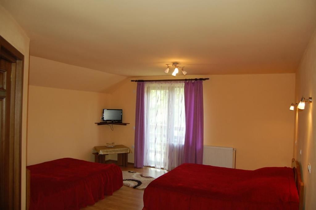 Гостевой дом Vila Sarah Bran Бран