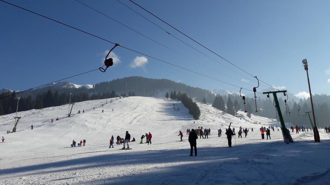 Гостевой дом Vila Sarah Bran Бран-12