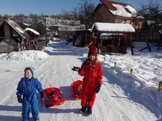 Гостевой дом Vila Sarah Bran Бран-2