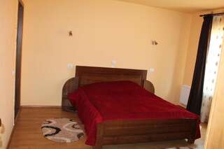 Гостевой дом Vila Sarah Bran Бран Двухместный номер с 1 кроватью и балконом-7