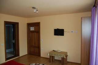 Гостевой дом Vila Sarah Bran Бран Двухместный номер с 1 кроватью и балконом-9