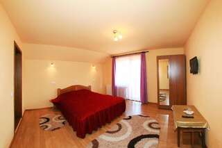 Гостевой дом Vila Sarah Bran Бран Двухместный номер с 1 кроватью и балконом-12