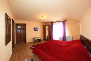 Гостевой дом Vila Sarah Bran Бран Двухместный номер с 1 кроватью и балконом-13