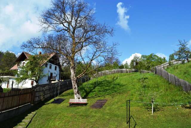 Гостевой дом Vila Sarah Bran Бран-39