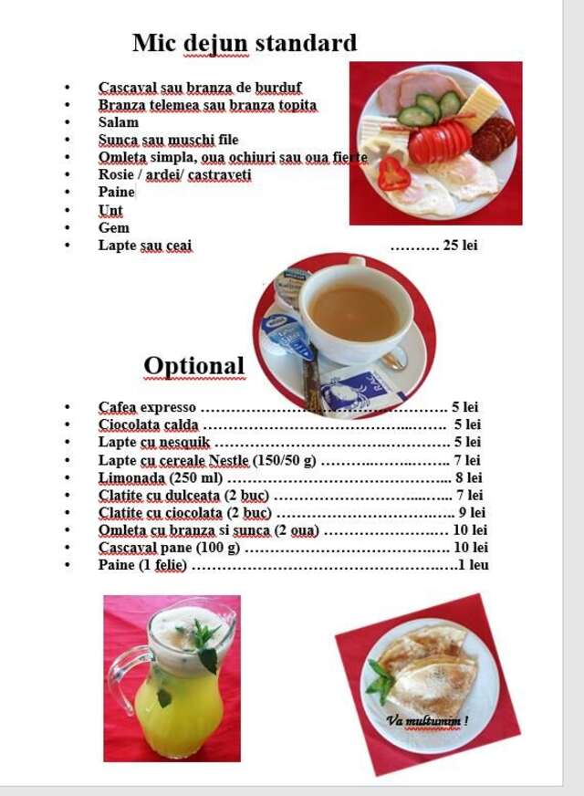 Гостевой дом Vila Sarah Bran Бран-41