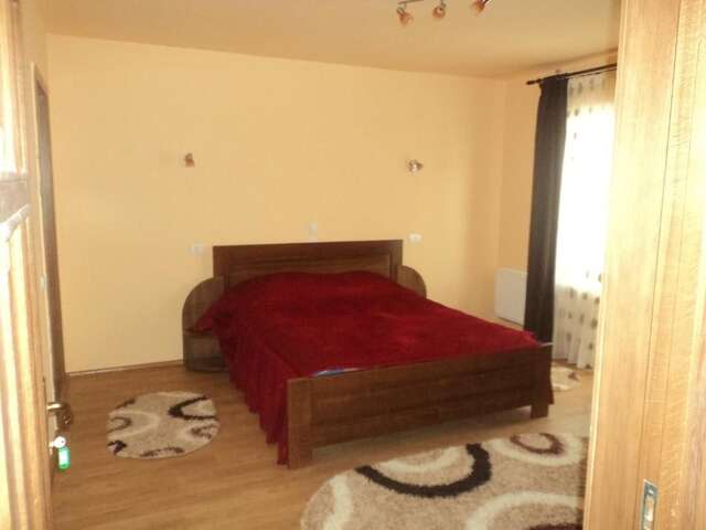 Гостевой дом Vila Sarah Bran Бран-50