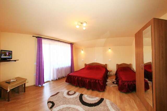 Гостевой дом Vila Sarah Bran Бран-80